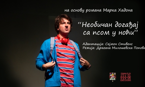 ,,Необичан догађај са псом у ноћи