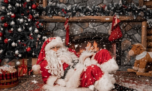 НОВОГОДИШЊА ПРЕДСТАВА ,,Новогодишња збрка