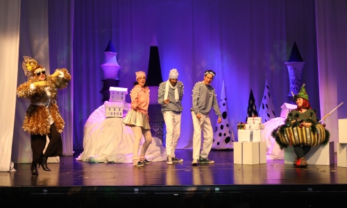 НОВОГОДИШЊА ПРЕДСТАВА ,,Новогодишња збрка