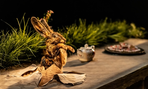 ,,Алисини снови