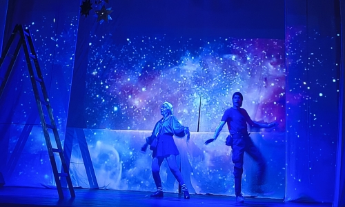 НОВОГОДИШЊА ПРЕДСТАВА ,,Новогодишња збрка